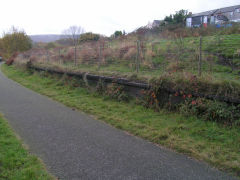 
LNWR Pentwyn Halt, Abersychan, October 2009